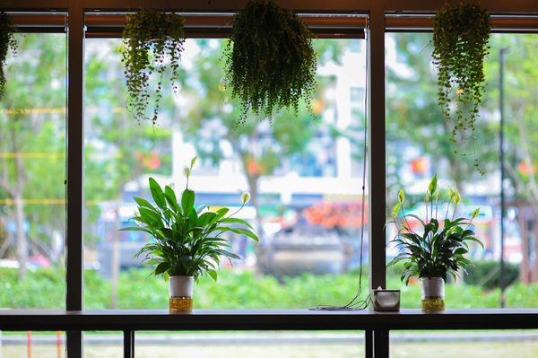 Espace coworking lyon: créativité et flexibilité à bel air camp